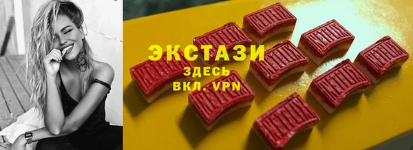 стаф Ельня