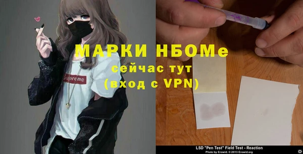 стаф Ельня