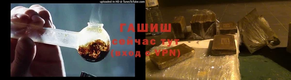 мдпв Дмитриев