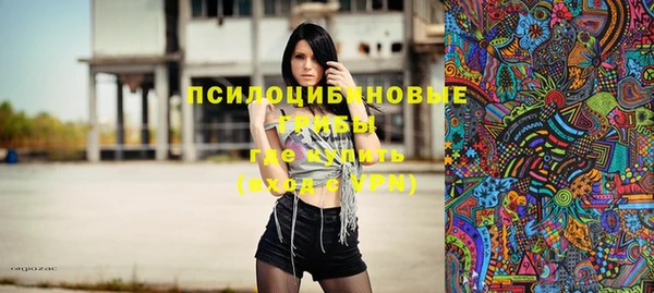 стаф Ельня