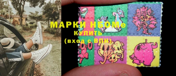 стаф Ельня