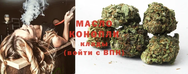 мдпв Дмитриев