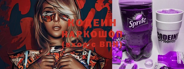 стаф Ельня