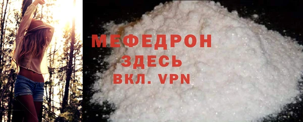 стаф Ельня