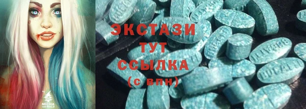 стаф Ельня