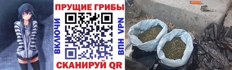 Галлюциногенные грибы Cubensis  наркотики  Киренск 